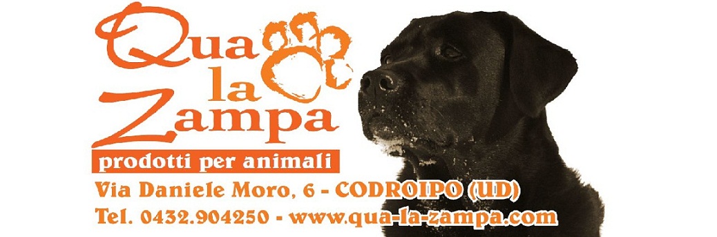 Qua-la-zampa.com