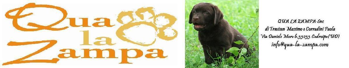 Qua-la-zampa.com